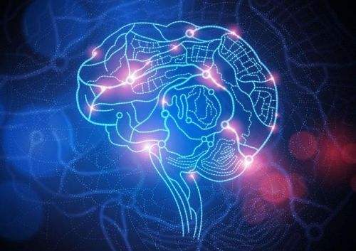 腦梗塞中頸動脈斑塊的彩超檢查